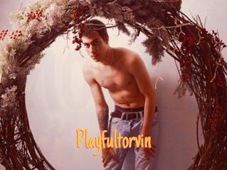 Playfultorvin