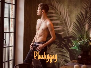 pluckygay Mobile Porno