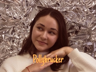 Pollybrucker
