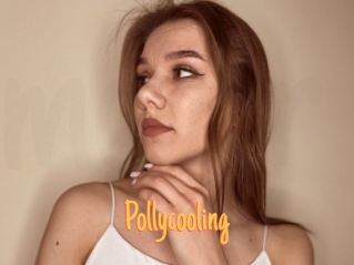 Pollycooling