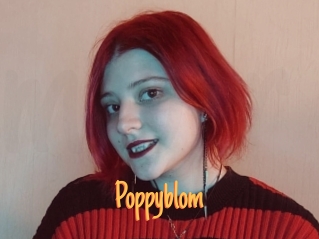 Poppyblom
