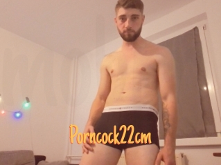 Porncock22cm