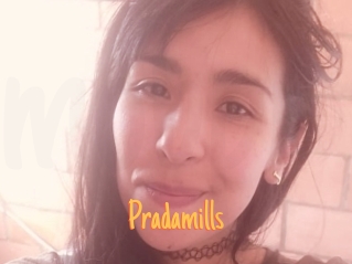 Pradamills