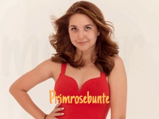 Primrosebunte