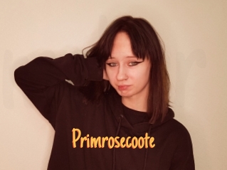Primrosecoote