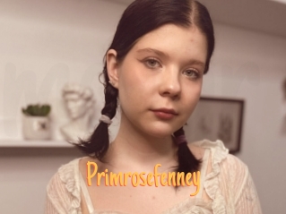 Primrosefenney