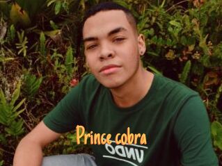 prince_cobra Mobile Porno
