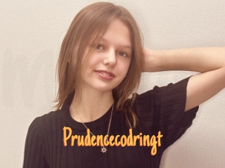 Prudencecodringt