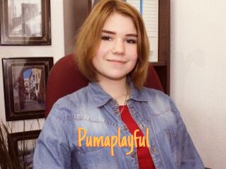 Pumaplayful
