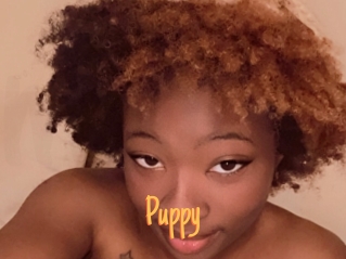 Puppy