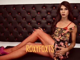 ROXY_FOX_TS