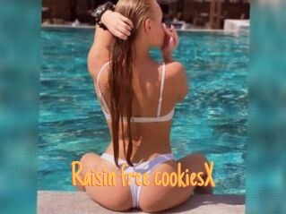 Raisin_free_cookiesX
