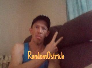 RandomOstrich