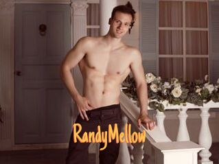 RandyMellow
