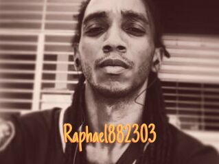 Raphael882303