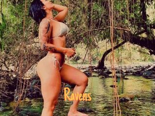 Ravens Mobile Porno