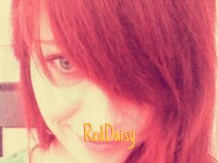 RedDaisy