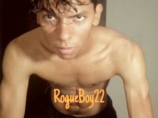 RogueBoy22