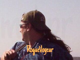 RogueVoyeur