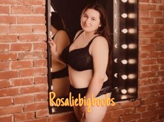 Rosaliebigboobs