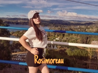 Rosimoreau