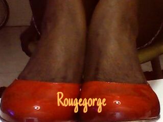 Rougegorge
