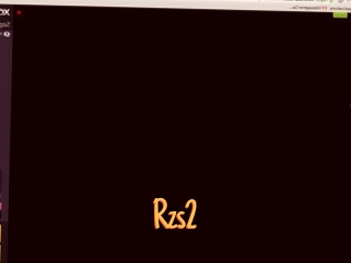 Rzs2