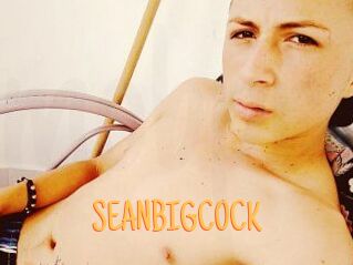 SEAN_BIG_COCK Mobile Porno