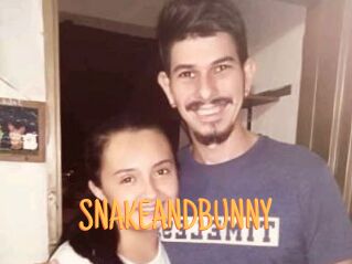SNAKEANDBUNNY