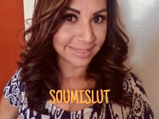 SOUMISLUT