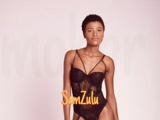 SamZulu Mobile Porno