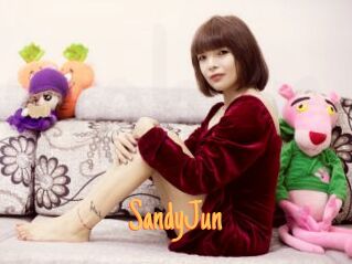 SandyJun Mobile Porno
