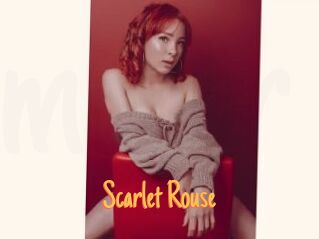 Scarlet_Rouse