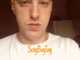 SexyBoyToy