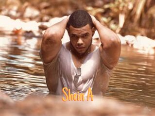 Shein_A