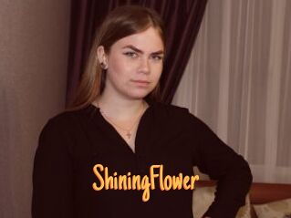 ShiningFlower Mobile Porno