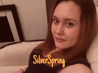 SilverSpring Mobile Porno