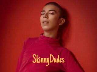 SkinnyDudes Mobile Porno