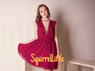 SquirrelLittle