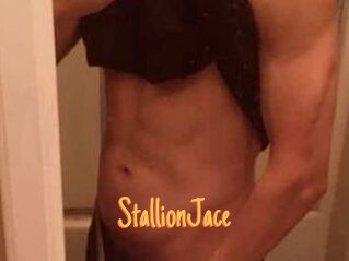 StallionJace