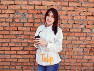 Tulip