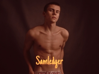 Samledger