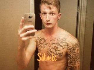 Sdlivekc