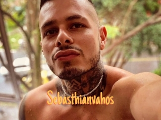 sebasthianvahos Mobile Porno