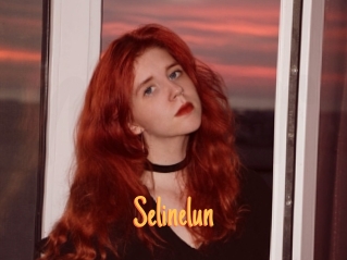 Selinelun