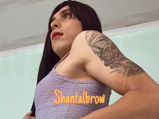 Shantalbrow