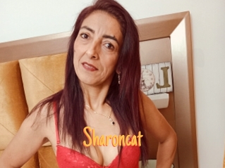 Sharoncat