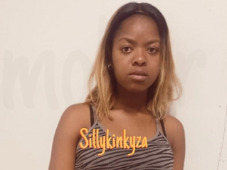 Sillykinkyza