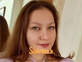 Silverbeech