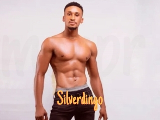 Silverdingo